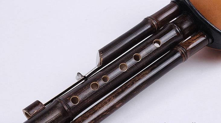 Natural Bamboo Chinese Hulusi Gourd Cucurbit Flute Learning Instrument Flute 葫芦丝 EverythingBamboo